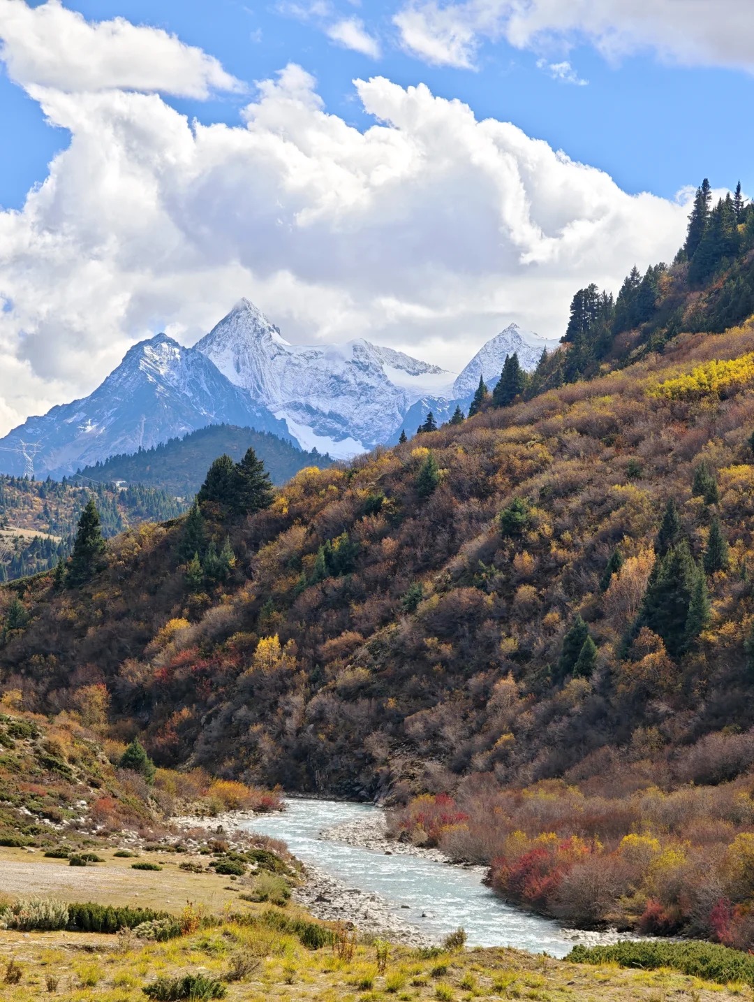 中国最后一个通公路的县城墨脱,进藏必去。_3_行走的阿卓_墨脱-来自52tours 我爱旅游网